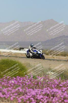 media/Feb-04-2023-SoCal Trackdays (Sat) [[8a776bf2c3]]/Turn 15 Inside Blooming (1050am)/